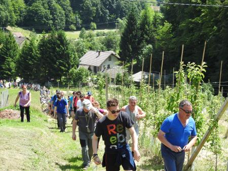 12. pohod Pomlad v prleških goricah Dan odprtih kleti in veselih ljudi, 28.5.2016 50